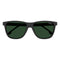 #color_BLACK GREEN