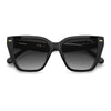 BLACK / 53-17-145 / DARK GREY SHADED