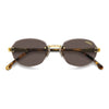 GOLD HAVANA / 53-18-145 / BROWN