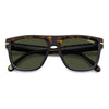 DARK HAVANA GOLD / 57-19-150 / GREEN