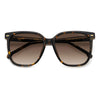 HAVANA / 55-16-140 / BROWN SHADED