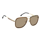 #color_BROWN HORN