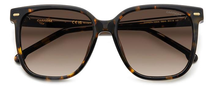 Carrera deals sunglasses